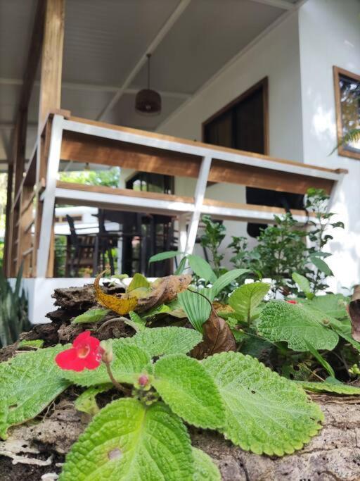 Little Yemanja Bungalow Puerto Viejo de Talamanca Bagian luar foto