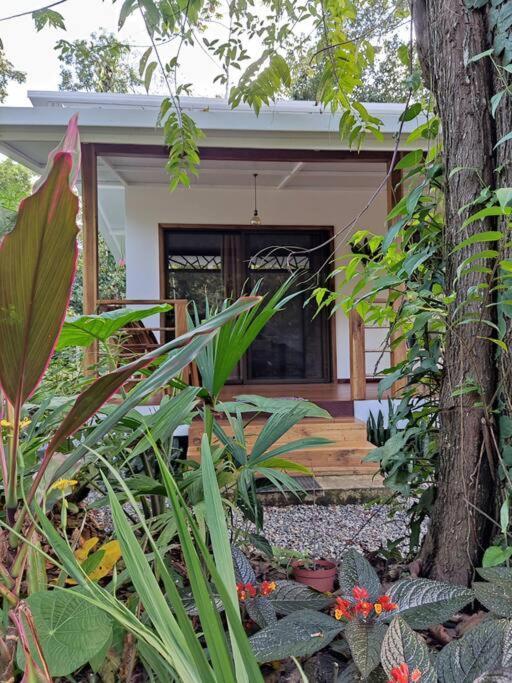 Little Yemanja Bungalow Puerto Viejo de Talamanca Bagian luar foto