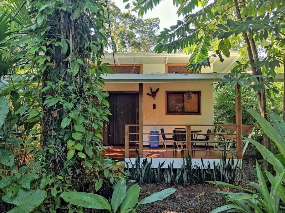 Little Yemanja Bungalow Puerto Viejo de Talamanca Bagian luar foto
