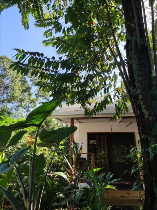 Little Yemanja Bungalow Puerto Viejo de Talamanca Bagian luar foto