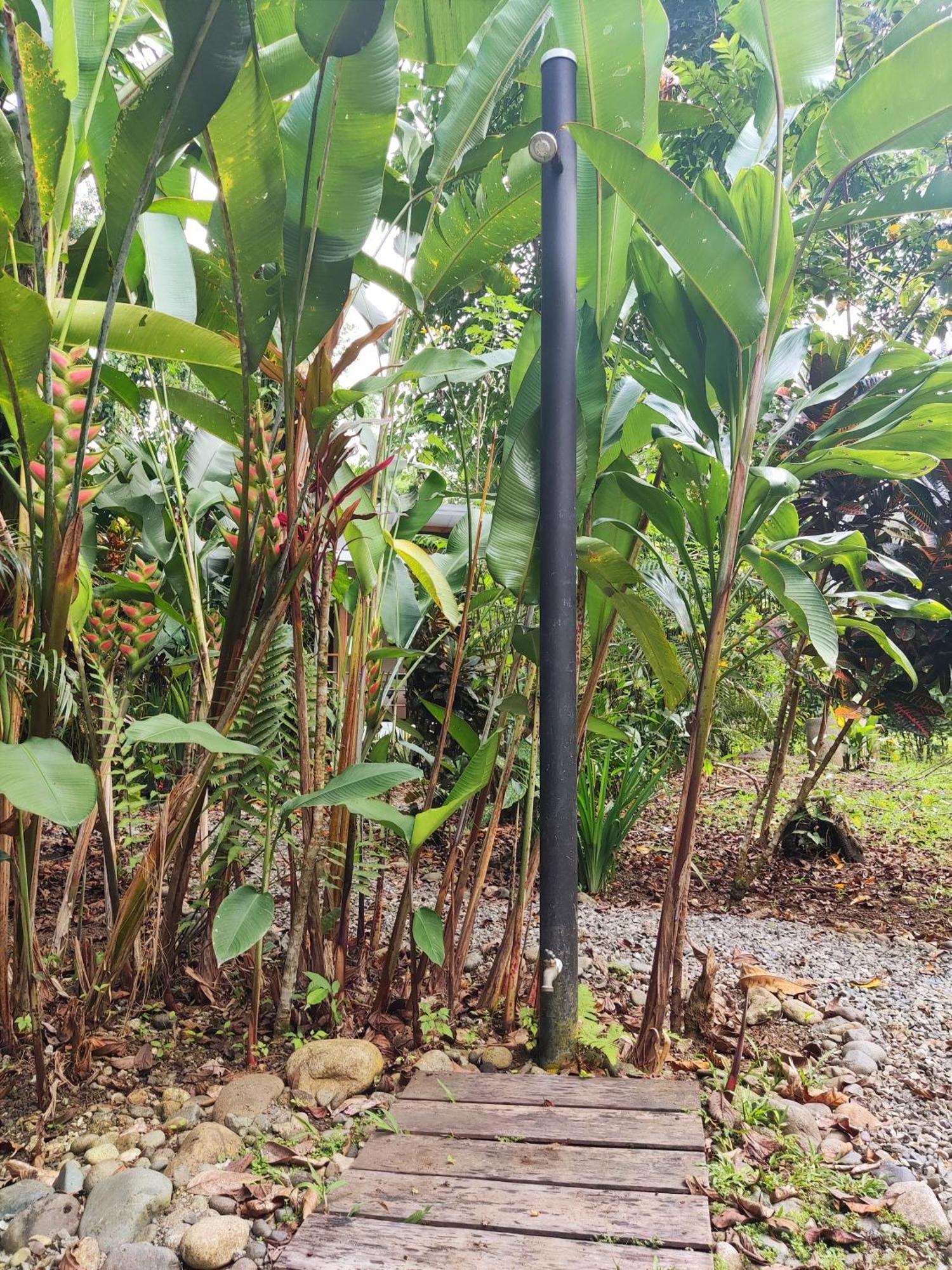 Little Yemanja Bungalow Puerto Viejo de Talamanca Bagian luar foto